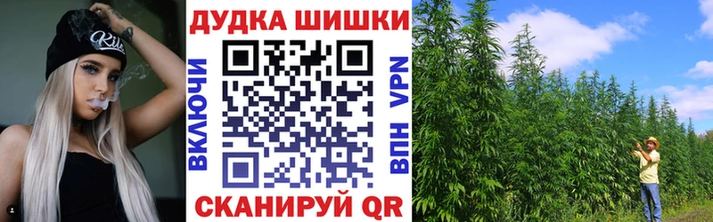 Каннабис Amnesia  Купить где  Приволжский 